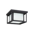 Generation Lighting - Hunnington 2-Light Outdoor Ceiling Light - Lights Canada