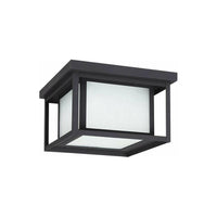 Hunnington 2-Light Outdoor Ceiling Light