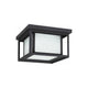 Generation Lighting - Hunnington 2-Light Outdoor Ceiling Light - Lights Canada