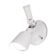WAC Lighting - Endurance Single Spot Energy Star LED Spot Light - Lights Canada