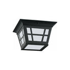 Generation Lighting - Herrington 2-Light Outdoor Ceiling Light - Lights Canada