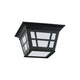 Generation Lighting - Herrington 2-Light Outdoor Ceiling Light - Lights Canada