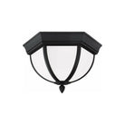 Generation Lighting - Wynfield 2-Light Outdoor Ceiling Light - Lights Canada
