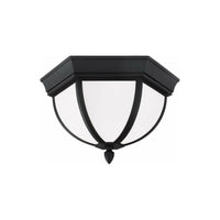 Wynfield 2-Light Outdoor Ceiling Light
