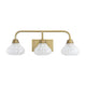 Savoy House - Darlington Vanity Light - Lights Canada