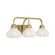 Savoy House - Darlington Vanity Light - Lights Canada