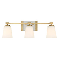Darby 3-Light Bathroom Vanity Light