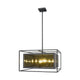 Z-Lite - Infinity Pendant - Lights Canada
