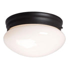 Galaxy Lighting - Flush Mount - Lights Canada