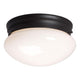 Galaxy Lighting - Flush Mount - Lights Canada