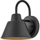 Wes Small Gooseneck Barn Light