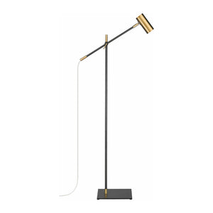 Z-Lite - Calumet 1-Light Floor Lamp - Lights Canada