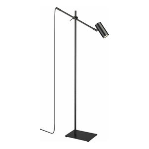 Z-Lite - Calumet 1-Light Floor Lamp - Lights Canada