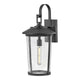 Lark - Banks Large Outdoor Wall Light - Lights Canada