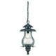 Acclaim - Blue Ridge Outdoor Pendant - Lights Canada