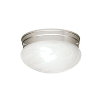 Ceiling Space Flush Mount
