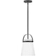 Lark - Tori 1-Light Convertible Mini Pendant - Lights Canada