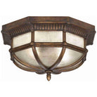 Fine Art Handcrafted Lighting - Holland Park Outdoor Ceiling Light - Lights Canada