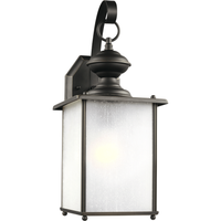Jamestowne 1-Light Outdoor Wall Light
