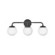 Lark - Juniper 3-Light Vanity Light - Lights Canada