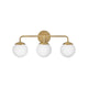 Lark - Juniper 3-Light Vanity Light - Lights Canada
