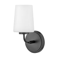Kline 1-Light Vanity Light