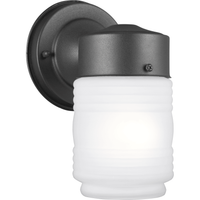 Outdoor Wall 1-Light Outdoor Wall Light