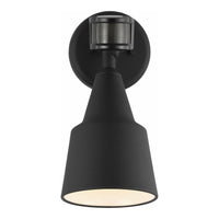 Flood Light 1-Light Outdoor Wall Light with Photo and Motion Sensor