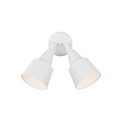 Generation Lighting - Flood Light Outdoor Wall Light - Lights Canada