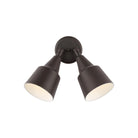 Generation Lighting - Flood Light Outdoor Wall Light - Lights Canada