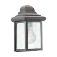 Mullberry Hill Outdoor Wall Light