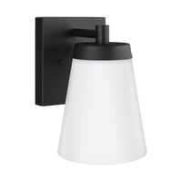 Renville Outdoor Wall Light