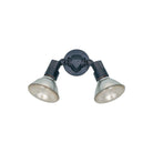 Generation Lighting - Flood Light Outdoor Wall Light - Lights Canada