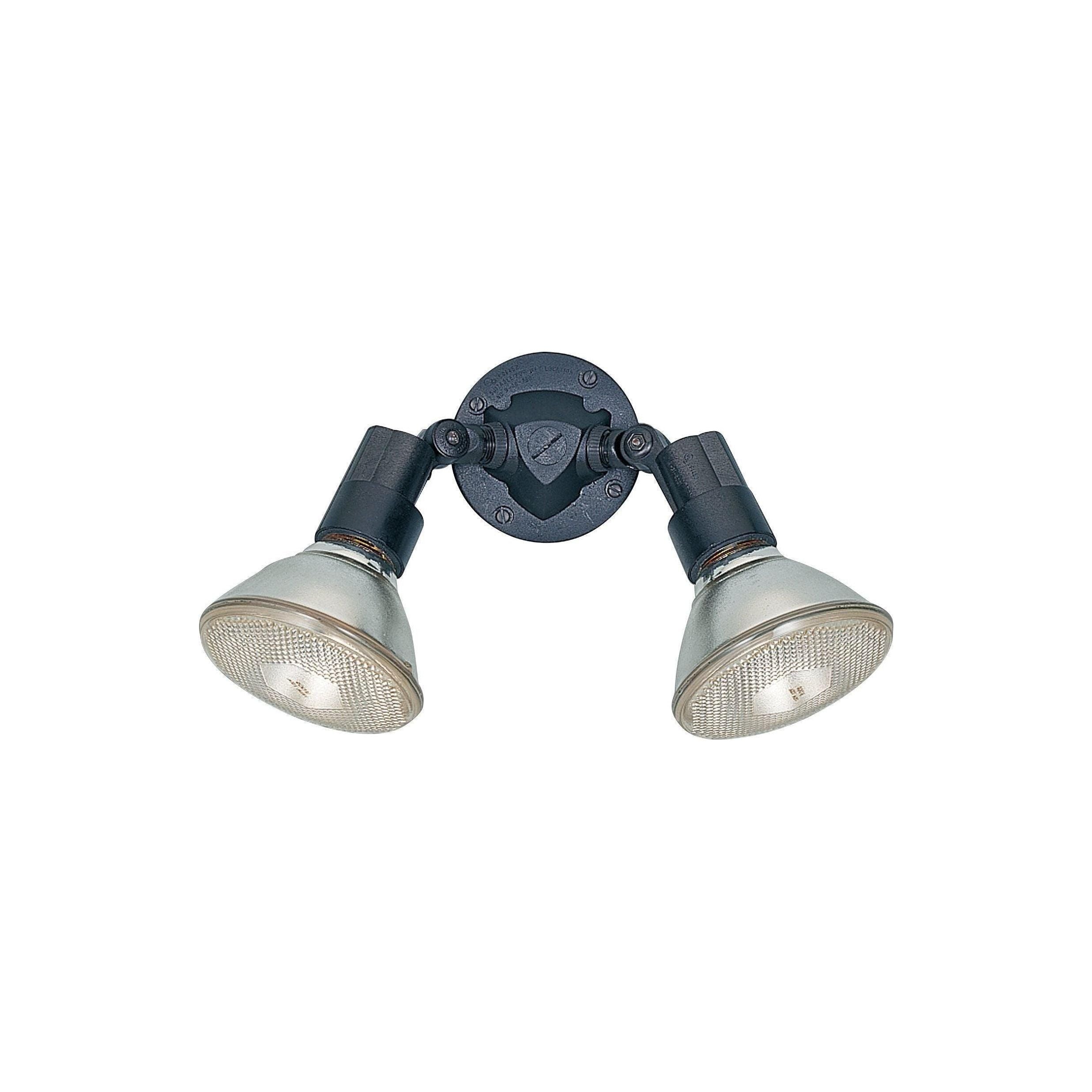 Generation Lighting - Flood Light Outdoor Wall Light - Lights Canada