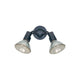Generation Lighting - Flood Light Outdoor Wall Light - Lights Canada