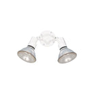 Generation Lighting - Flood Light Outdoor Wall Light - Lights Canada