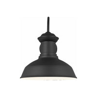 Fredricksburg Large 1-Light Outdoor Wall Light