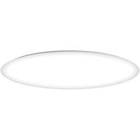 Low Profile EE 2-Light Flush Mount