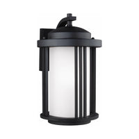 Crowell Medium 1-Light Outdoor Wall Light (with Bulb)