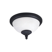 Yorktown Outdoor Ceiling Light