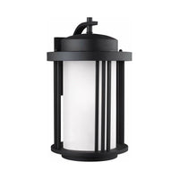 Crowell Large 1-Light Outdoor Wall Light (with Bulb)