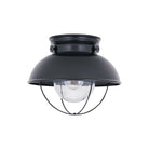 Generation Lighting - Sebring Outdoor Ceiling Light - Lights Canada