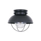Generation Lighting - Sebring Outdoor Ceiling Light - Lights Canada