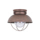 Generation Lighting - Sebring Outdoor Ceiling Light - Lights Canada