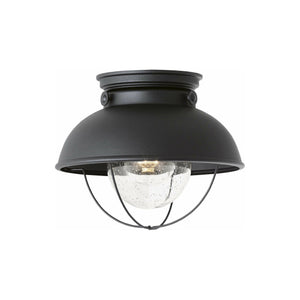 Generation Lighting - Sebring 1-Light Outdoor Ceiling Light (with Bulb) - Lights Canada