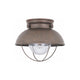 Generation Lighting - Sebring 1-Light Outdoor Ceiling Light (with Bulb) - Lights Canada
