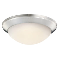 Ceiling Space Flush Mount