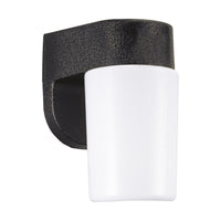 Outdoor Wall Light