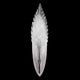 Fine Art Handcrafted Lighting - Plume Sconce - Lights Canada