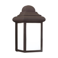 Mullberry Hill Outdoor Wall Light